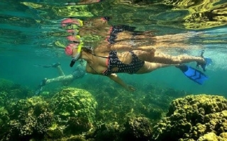 snorkel en arrecifes